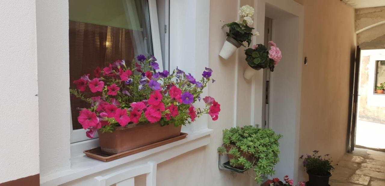 بولا Apartment Asja Old City Center المظهر الخارجي الصورة