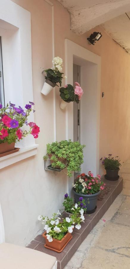 بولا Apartment Asja Old City Center المظهر الخارجي الصورة